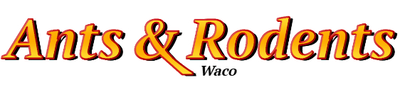 Waco Ant Exterminator & Rodent Control Company Logo